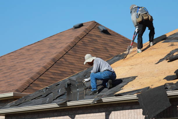 Best Gutter Installation and Repair  in Toledo, IL